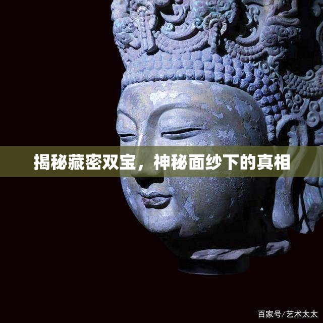揭秘藏密雙寶，神秘面紗下的真相