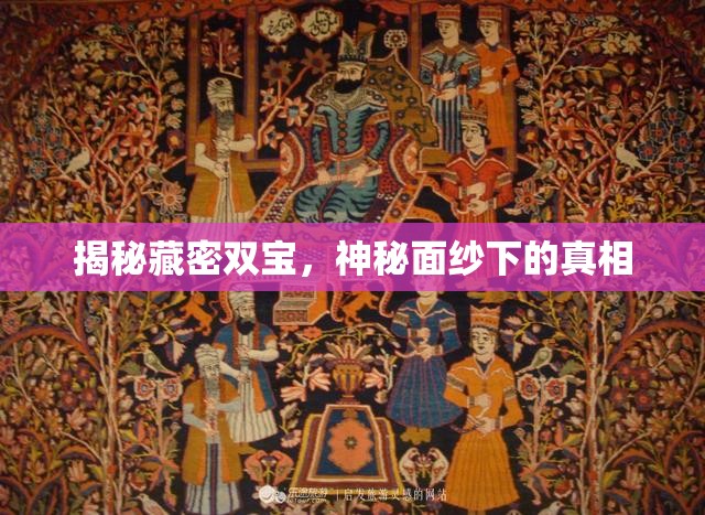 揭秘藏密雙寶，神秘面紗下的真相