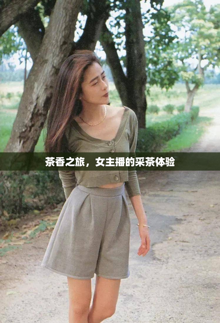 茶香之旅，女主播的采茶體驗(yàn)