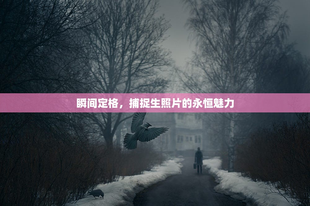 瞬間定格，捕捉生照片的永恒魅力