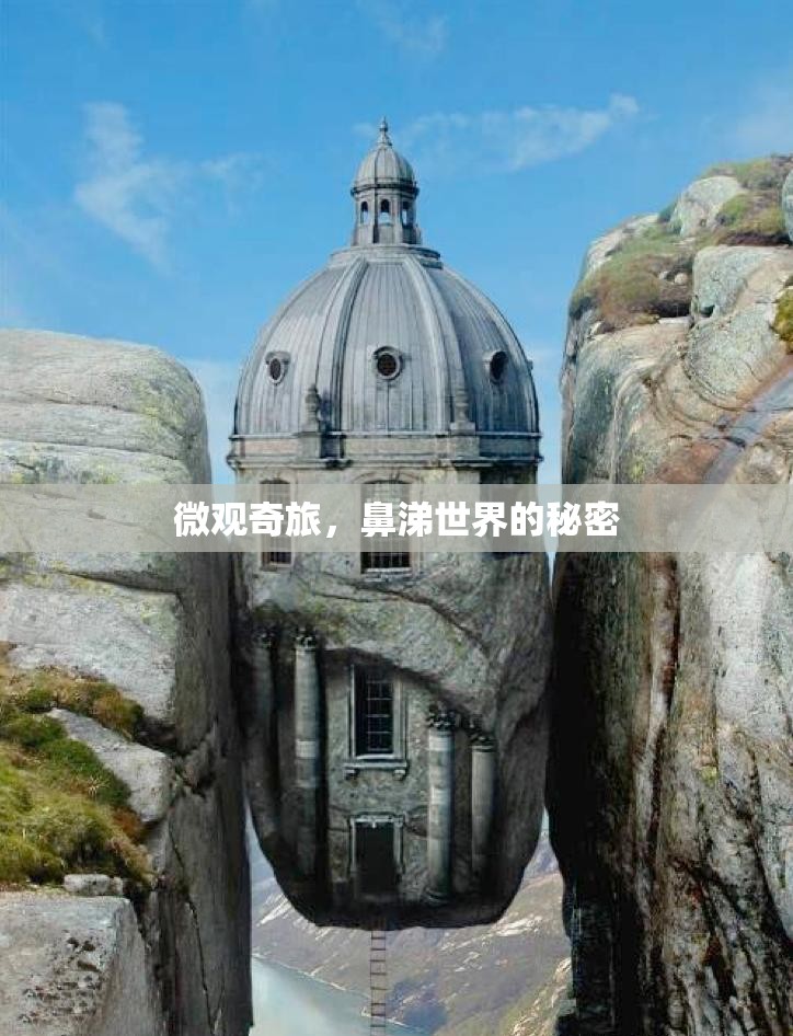 微觀奇旅，鼻涕世界的秘密