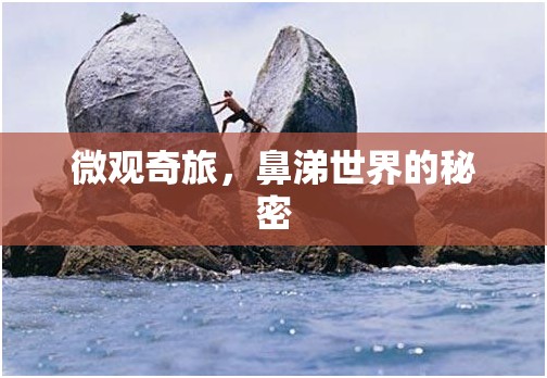 微觀奇旅，鼻涕世界的秘密