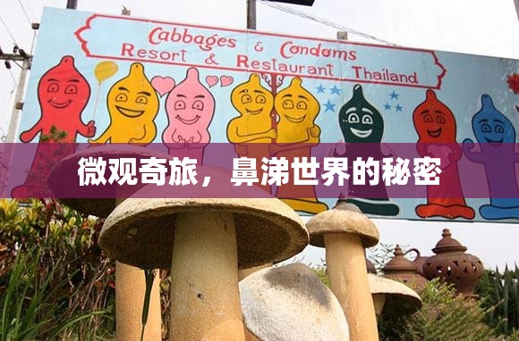 微觀奇旅，鼻涕世界的秘密