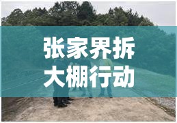 張家界拆大棚行動(dòng)，綠色轉(zhuǎn)型與鄉(xiāng)村振興的雙重奏鳴