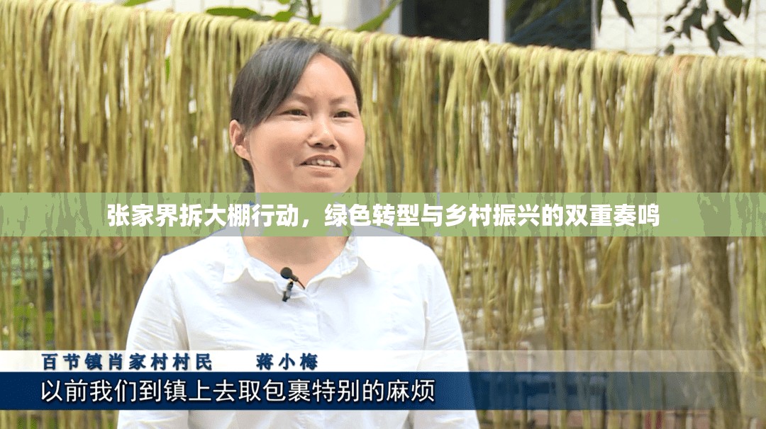 張家界拆大棚行動(dòng)，綠色轉(zhuǎn)型與鄉(xiāng)村振興的雙重奏鳴