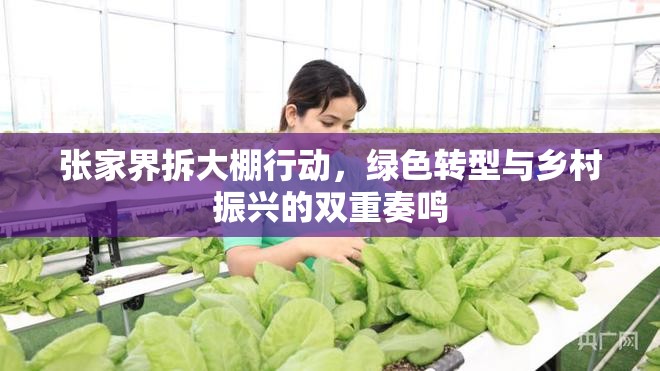 張家界拆大棚行動(dòng)，綠色轉(zhuǎn)型與鄉(xiāng)村振興的雙重奏鳴