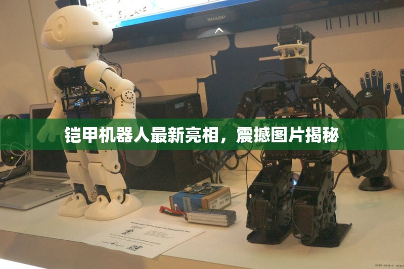 鎧甲機(jī)器人最新亮相，震撼圖片揭秘