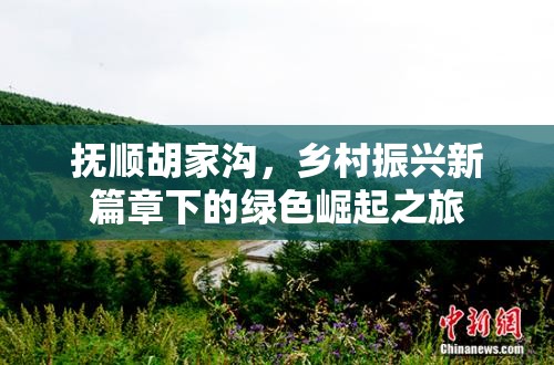 撫順胡家溝，鄉(xiāng)村振興新篇章下的綠色崛起之旅