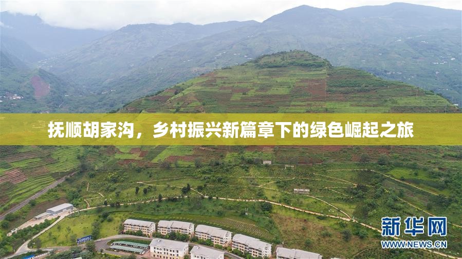 撫順胡家溝，鄉(xiāng)村振興新篇章下的綠色崛起之旅