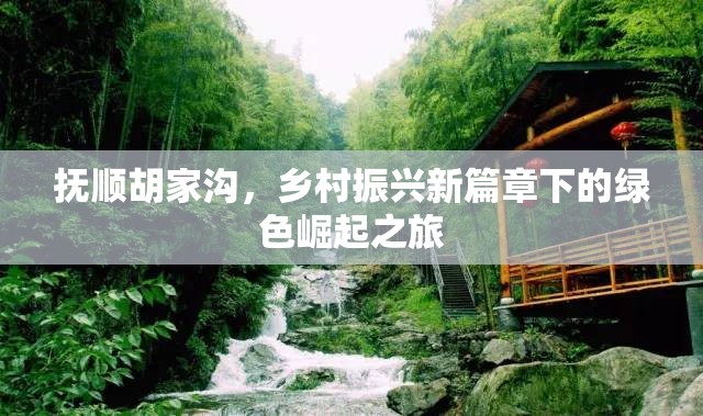 撫順胡家溝，鄉(xiāng)村振興新篇章下的綠色崛起之旅