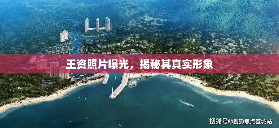 王資照片曝光，揭秘其真實(shí)形象