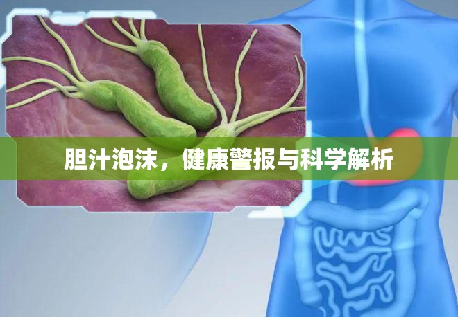 膽汁泡沫，健康警報(bào)與科學(xué)解析