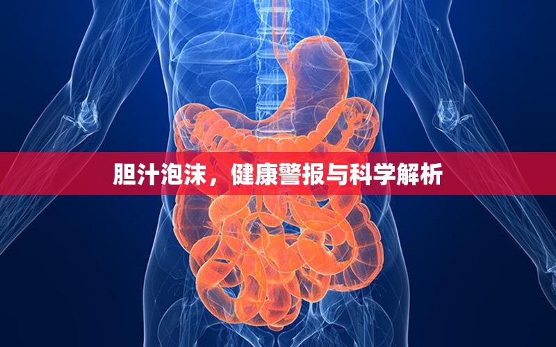 膽汁泡沫，健康警報(bào)與科學(xué)解析