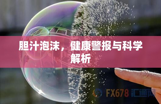 膽汁泡沫，健康警報(bào)與科學(xué)解析