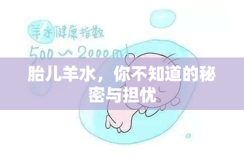 胎兒羊水，你不知道的秘密與擔(dān)憂(yōu)