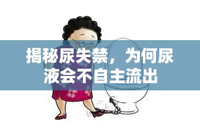 揭秘尿失禁，為何尿液會(huì)不自主流出