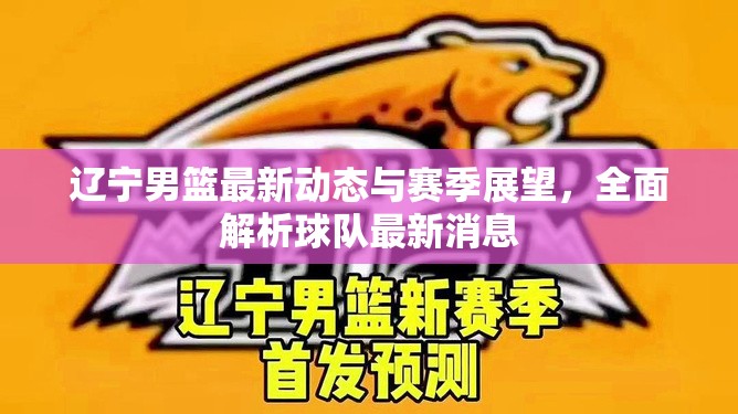 遼寧男籃最新動(dòng)態(tài)與賽季展望，全面解析球隊(duì)最新消息