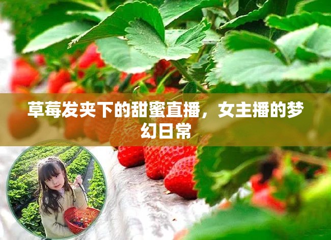 草莓發(fā)夾下的甜蜜直播，女主播的夢(mèng)幻日常