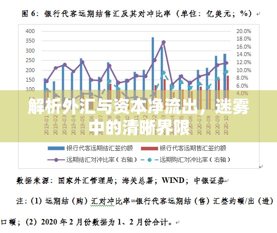 解析外匯與資本凈流出，迷霧中的清晰界限