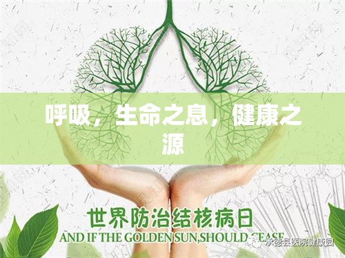 呼吸，生命之息，健康之源