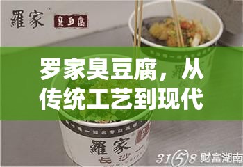 羅家臭豆腐，從傳統(tǒng)工藝到現(xiàn)代爭議的深度揭秘