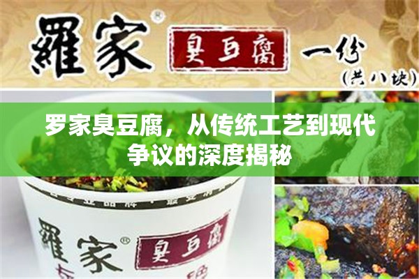 羅家臭豆腐，從傳統(tǒng)工藝到現(xiàn)代爭議的深度揭秘