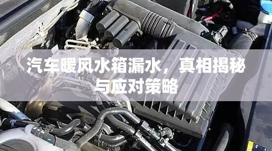 汽車暖風(fēng)水箱漏水，真相揭秘與應(yīng)對策略