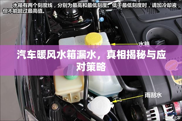 汽車暖風(fēng)水箱漏水，真相揭秘與應(yīng)對策略