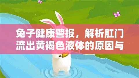 兔子健康警報，解析肛門流出黃褐色液體的原因與應對措施