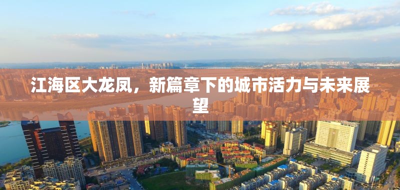 江海區(qū)大龍鳳，新篇章下的城市活力與未來展望