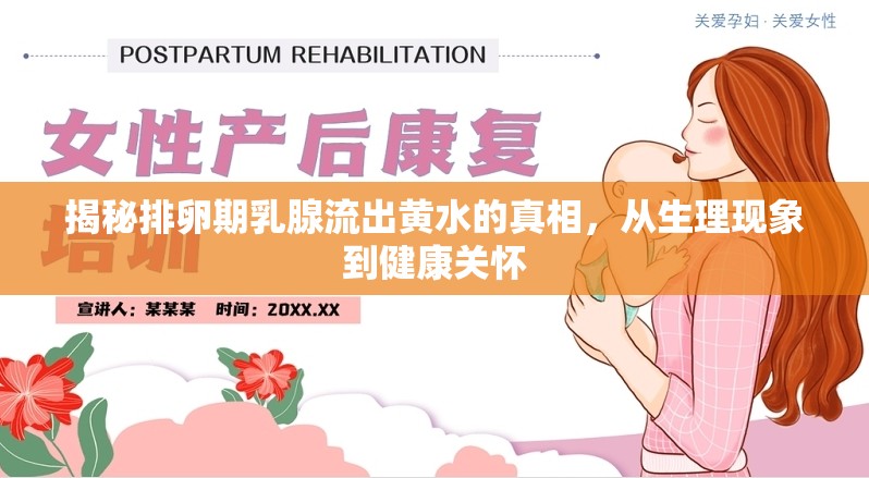 揭秘排卵期乳腺流出黃水的真相，從生理現(xiàn)象到健康關(guān)懷