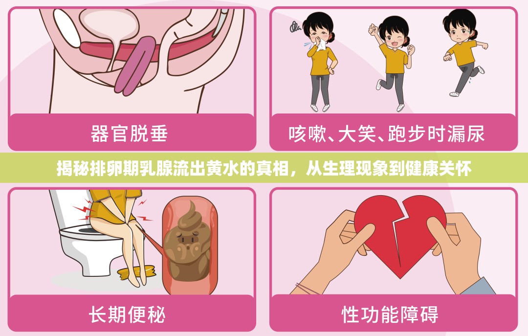 揭秘排卵期乳腺流出黃水的真相，從生理現(xiàn)象到健康關(guān)懷