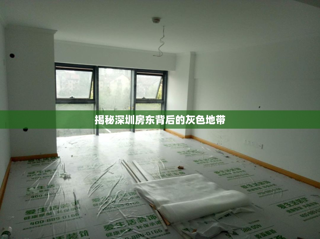 揭秘深圳房東背后的灰色地帶