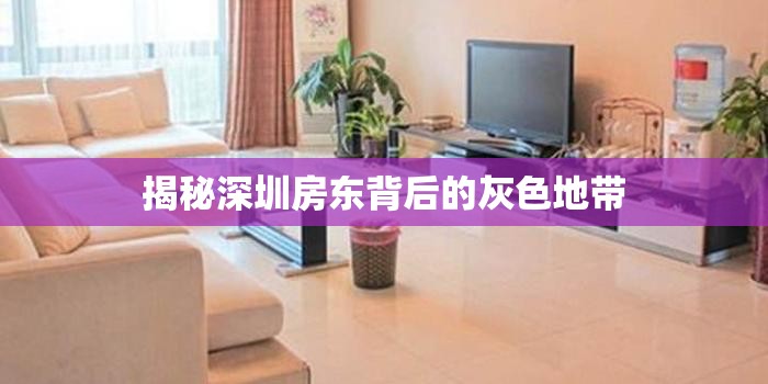 揭秘深圳房東背后的灰色地帶