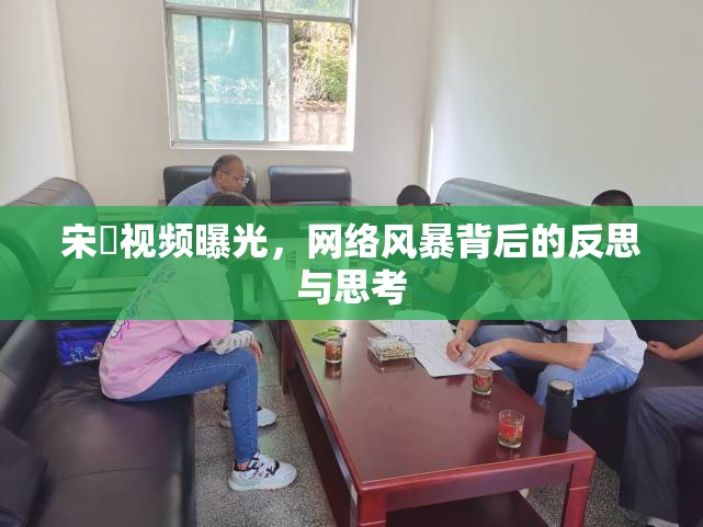 宋喆視頻曝光，網(wǎng)絡(luò)風(fēng)暴背后的反思與思考