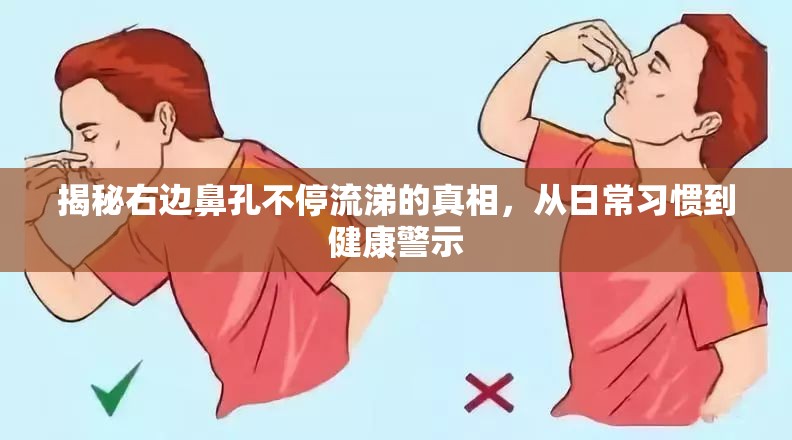 揭秘右邊鼻孔不停流涕的真相，從日常習(xí)慣到健康警示