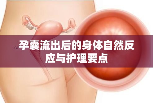 孕囊流出后的身體自然反應(yīng)與護(hù)理要點