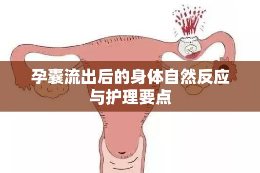 孕囊流出后的身體自然反應(yīng)與護(hù)理要點