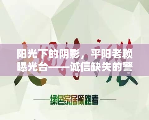 陽光下的陰影，平陽老賴曝光臺——誠信缺失的警鐘與希望之光