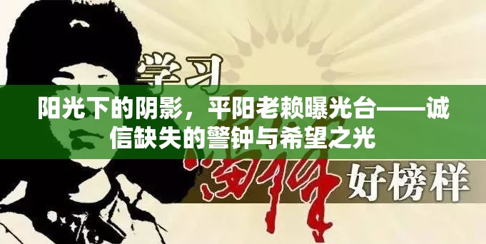 陽光下的陰影，平陽老賴曝光臺——誠信缺失的警鐘與希望之光
