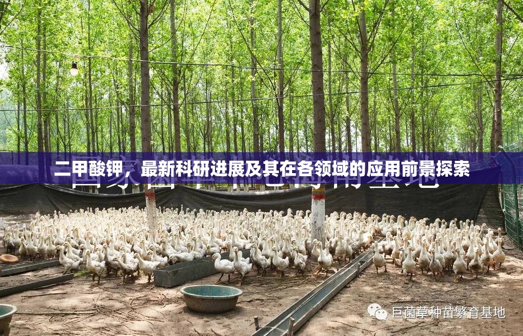 二甲酸鉀，最新科研進(jìn)展及其在各領(lǐng)域的應(yīng)用前景探索
