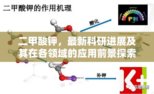 二甲酸鉀，最新科研進(jìn)展及其在各領(lǐng)域的應(yīng)用前景探索