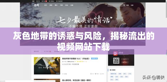 灰色地帶的誘惑與風險，揭秘流出的視頻網(wǎng)站下載