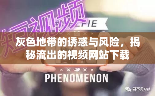 灰色地帶的誘惑與風險，揭秘流出的視頻網(wǎng)站下載