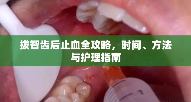 拔智齒后止血全攻略，時(shí)間、方法與護(hù)理指南