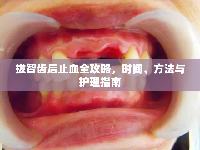 拔智齒后止血全攻略，時(shí)間、方法與護(hù)理指南