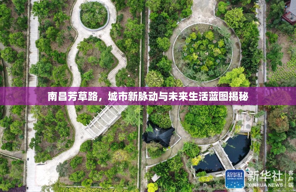 南昌芳草路，城市新脈動(dòng)與未來生活藍(lán)圖揭秘