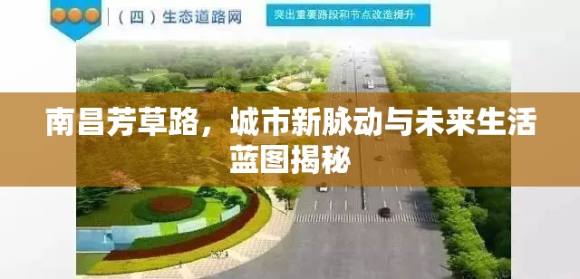 南昌芳草路，城市新脈動(dòng)與未來生活藍(lán)圖揭秘