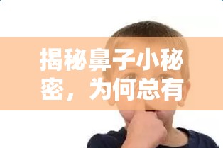 揭秘鼻子小秘密，為何總有一絲血塊流出？