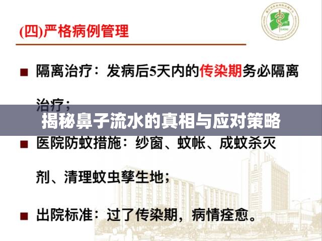 揭秘鼻子流水的真相與應對策略